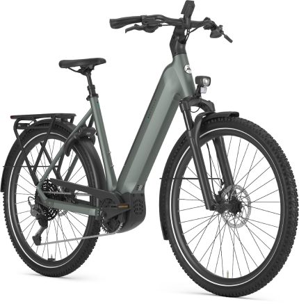 Gazelle Ultimate T11 - 800 Wh - 2026 - 28 pulgadas - Cuadro bajo